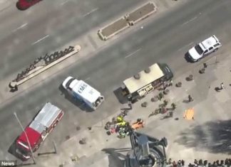 क्यानडामा बटुवाहरुमाथि भएको भ्यान आक्रमणमा १० जना मारिए